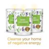 MAGNIFICENT 101 Pure Sage Lavender Smudge Juego de 3_3