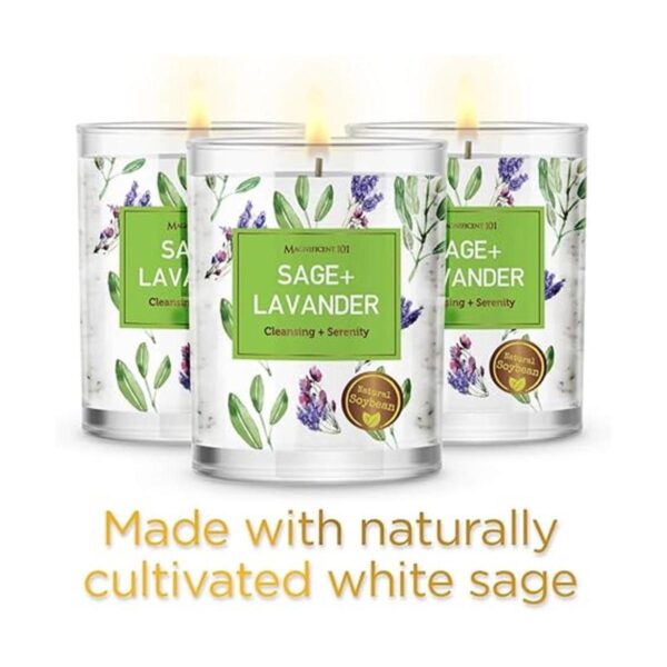 MAGNIFICENT 101 Pure Sage Lavender Smudge Juego de 3_2