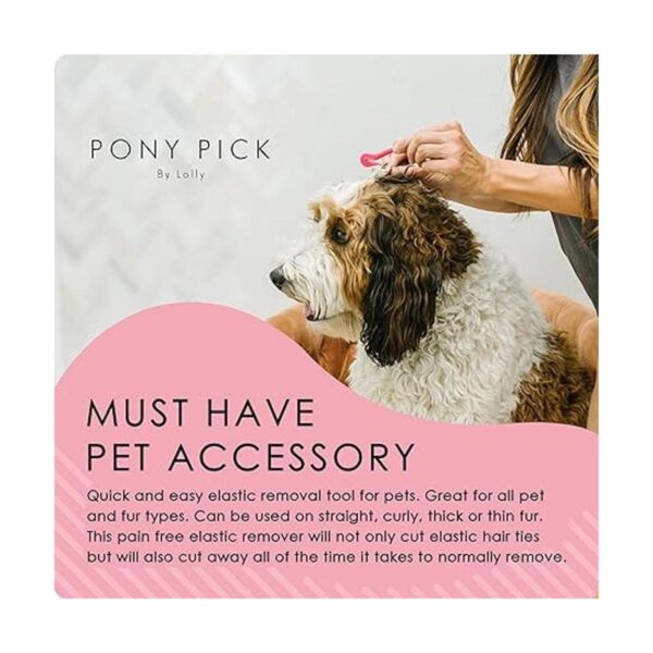 The PET Pick by Pony Pick Cortador de banda de goma
