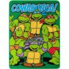 Nickelodeons Teenage Mutant Ninja Turtles Cowabunga_1