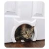 The Kitty Pass Puerta de interiores para gato oculta caja_1