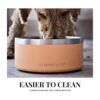 The Coldest Dog Bowl El plato de alimento para perro que_2