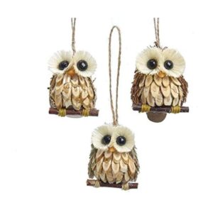 The Bridge Collection Primitive Sisal Owl Adornos para_1
