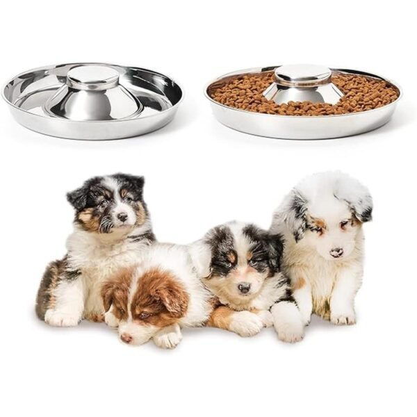 Thankspaw Cuencos de acero inoxidable para cachorros