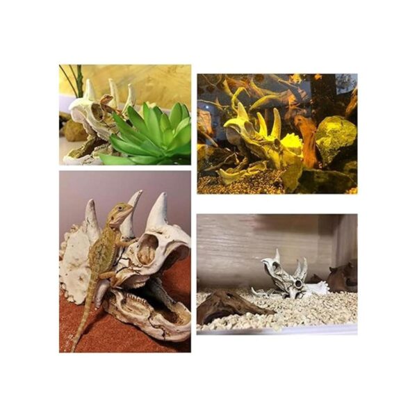 Tfwadmx Accesorios para tanque de dragón barbudo de