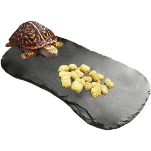 Tfwadmx plataforma de canasta de reptiles placa de roca