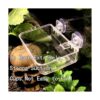 Tfwadmx 2 Pcs Chameleon Bowl Reptile Feeding Food Water