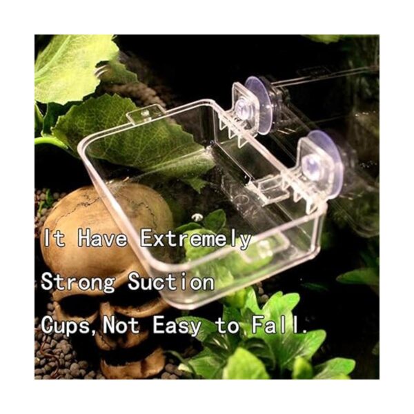 Tfwadmx 2 Pcs Chameleon Bowl Reptile Feeding Food Water