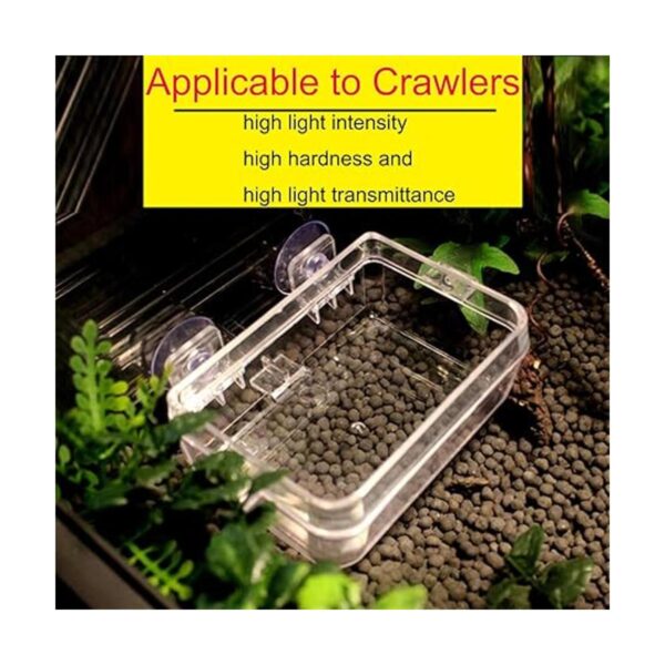 Tfwadmx 2 Pcs Chameleon Bowl Reptile Feeding Food Water