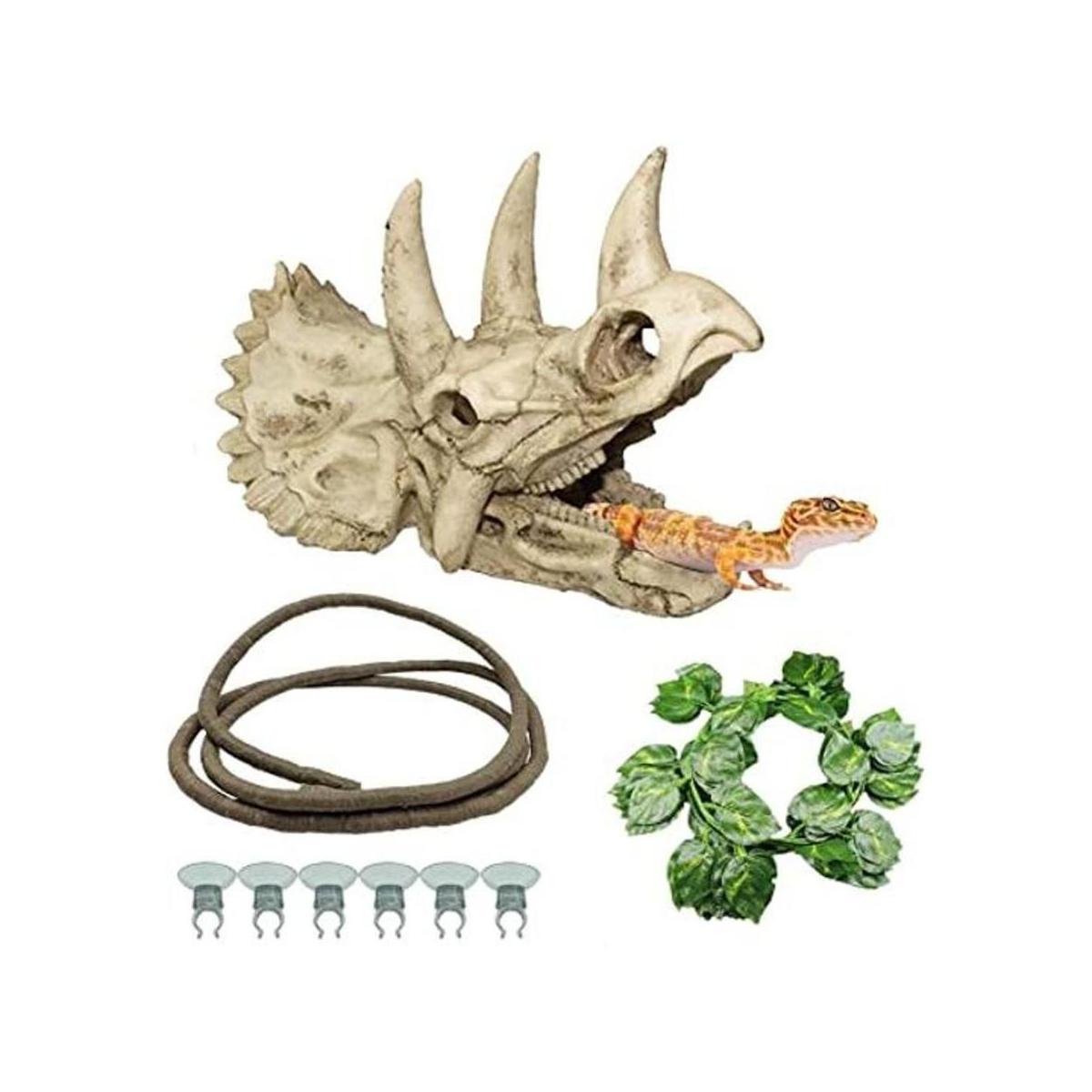 Tfwadmx Accesorios para tanque de dragón barbudo de