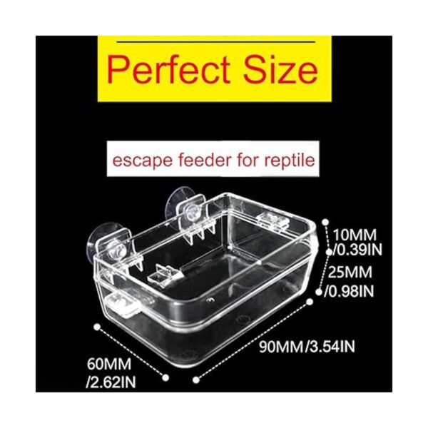 Tfwadmx 2 Pcs Chameleon Bowl Reptile Feeding Food Water