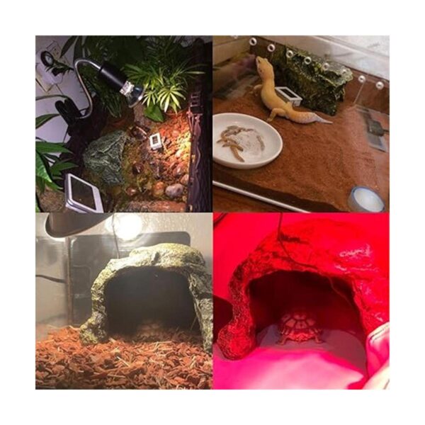 Tfwadmx Gecko Hideout Cueva Lagarto Escondite Tortuga