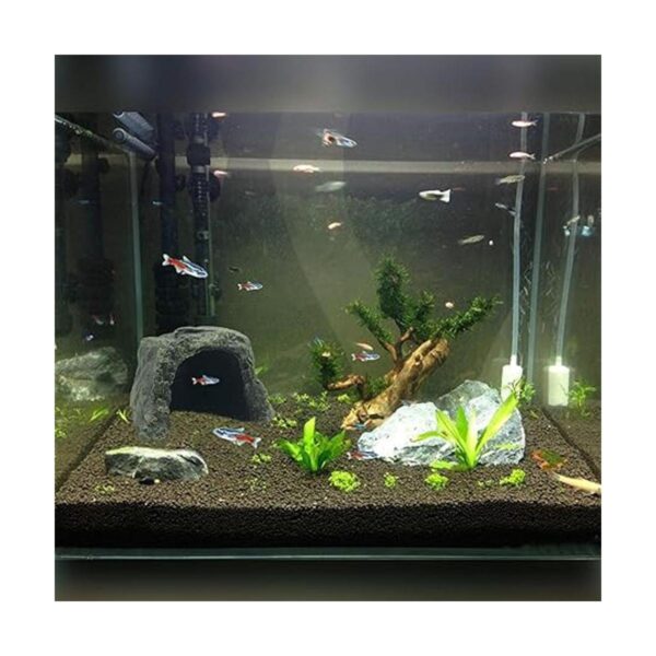 Tfwadmx Gecko Hideout Cueva Lagarto Escondite Tortuga