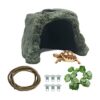Tfwadmx Gecko Hideout Cueva Lagarto Escondite Tortuga