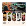 Tfwadmx Gecko Hideout Cueva Lagarto Escondite Tortuga