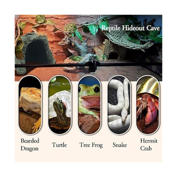 Tfwadmx Gecko Hideout Cueva Lagarto Escondite Tortuga