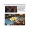 Tfwadmx Reptile Basking Platform Tortoise Feeding Dish