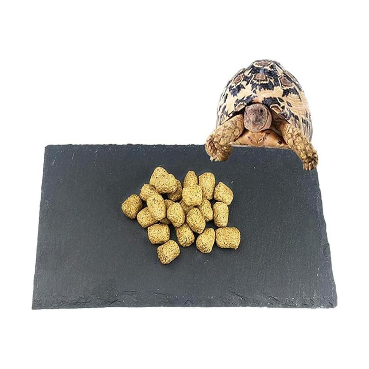 Tfwadmx Reptile Basking Platform Tortoise Feeding Dish