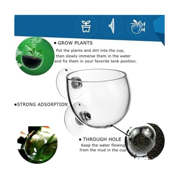 Maceta para decoración de acuario taza para plantas_2