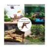 Tfwadmx Madera flotante natural para acuario ramas de