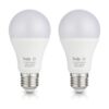 Tento Lighting E26 Bombilla LED de 12 V 12 W 1200_1