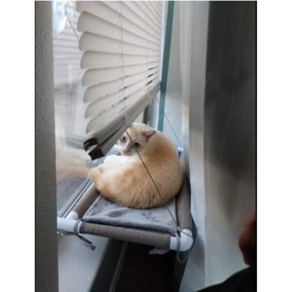 Pupagree Hamaca para ventana de gato estante de descanso_2