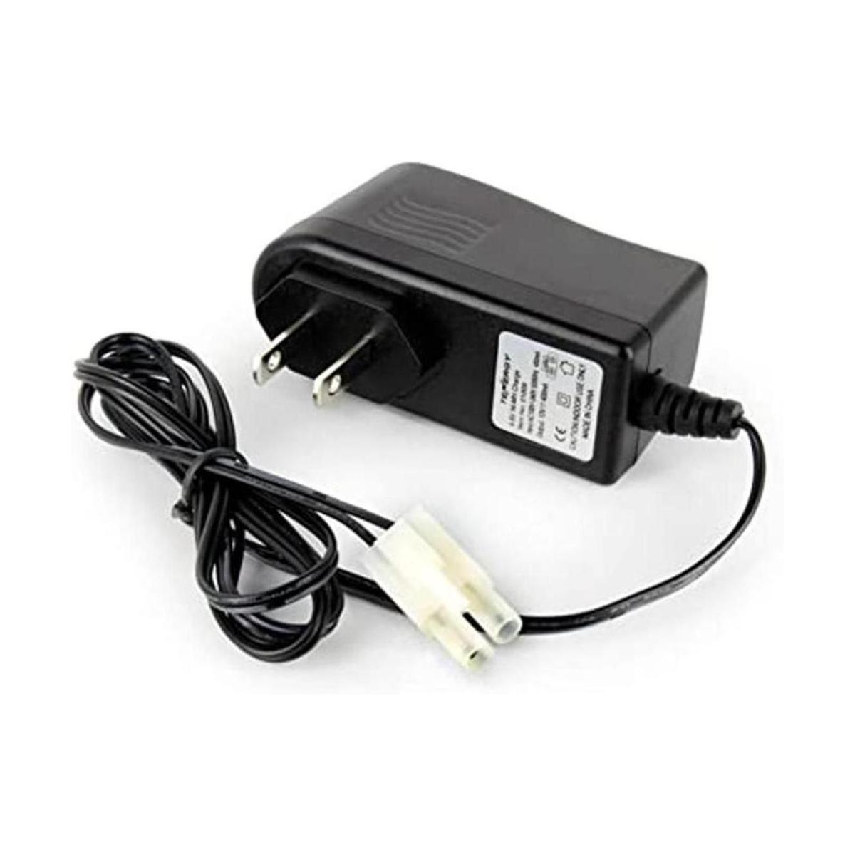 Tenergy Cargador con Salida de 12 V 300 mA CA para