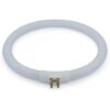 Bombilla circular de 12 W T4 6400 K para lámparas de