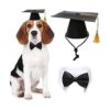 Juego de gorras de graduación para mascotas sombreros de