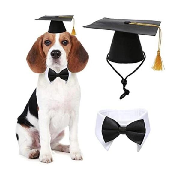 Juego de gorras de graduación para mascotas sombreros de