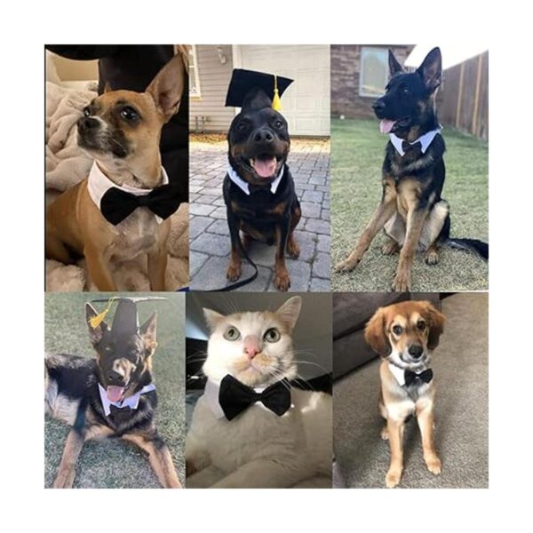 Juego de gorras de graduación para mascotas sombreros de