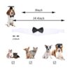 Juego de gorras de graduación para mascotas sombreros de