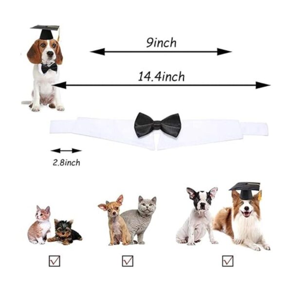 Juego de gorras de graduación para mascotas sombreros de