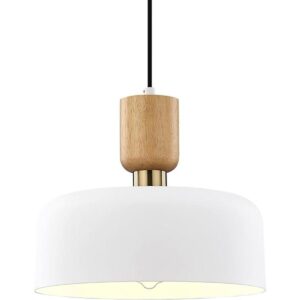 TeHenoo Iluminación colgante moderna lámpara colgante_1