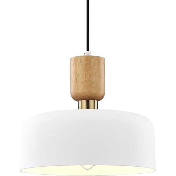 TeHenoo Iluminación colgante moderna lámpara colgante_1