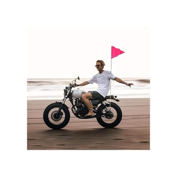Tatuo 2 banderas de seguridad para bicicleta de 6 pies con