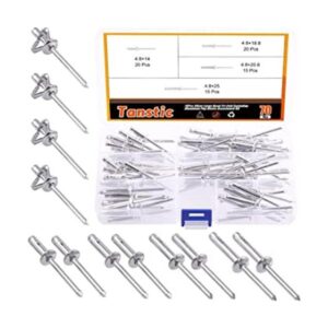 Tanstic Kit surtido de 70 remaches de aluminio de 316