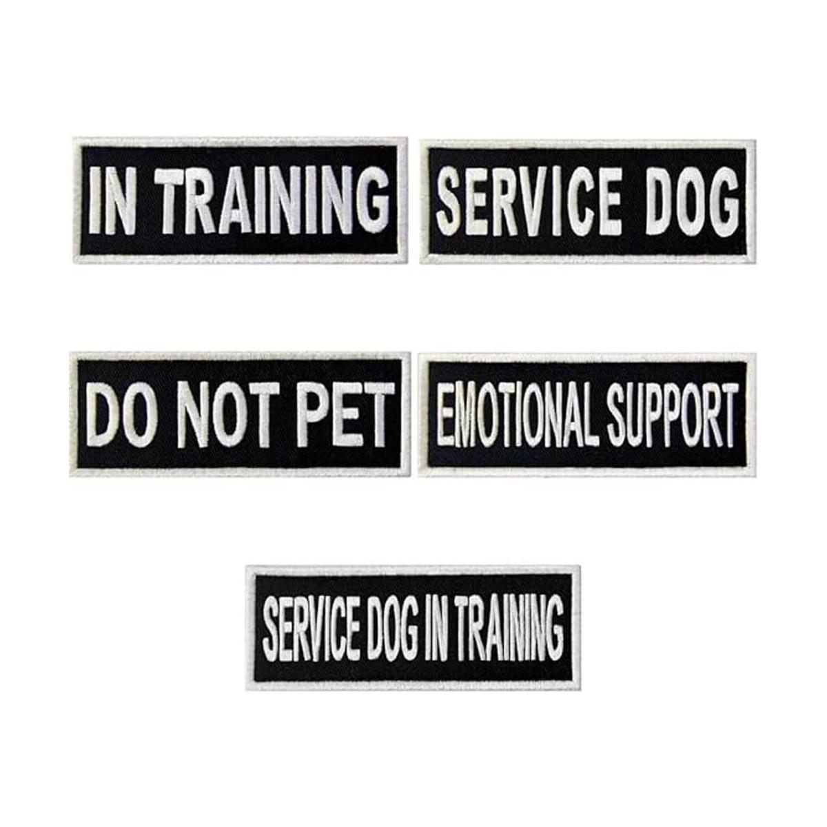 Service Dog in Training Do Not Pet Chaleco de apoyo