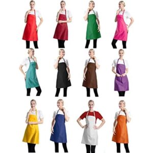 TSD STORY Total 12 delantales de color liso para adultos