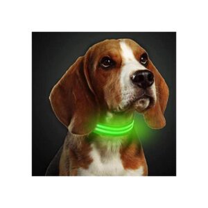 TRIPOLACO Collar de perro LED 3 modos intermitentes_1