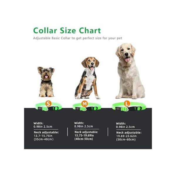 TRIPOLACO Collar de perro LED 3 modos intermitentes_5