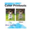 EASYPRINT 1 botella de tinta de repuesto para T502 502