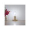 Bombilla Edison de 12 V 6 W E26 12 voltios LED luz diurna_2