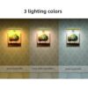 TINTINDOC Luz recargable inalámbrica para pintura con_2