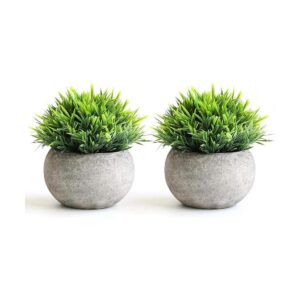 THE BLOOM TIMES 2 piezas de plantas falsas para decoración_1