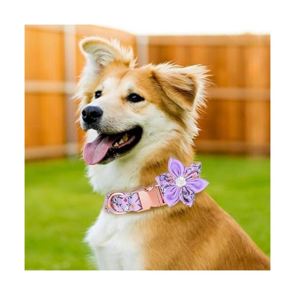 TDTOK Collar de perro para perros pequeños medianos y