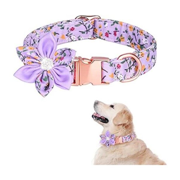 TDTOK Collar de perro para perros pequeños medianos y