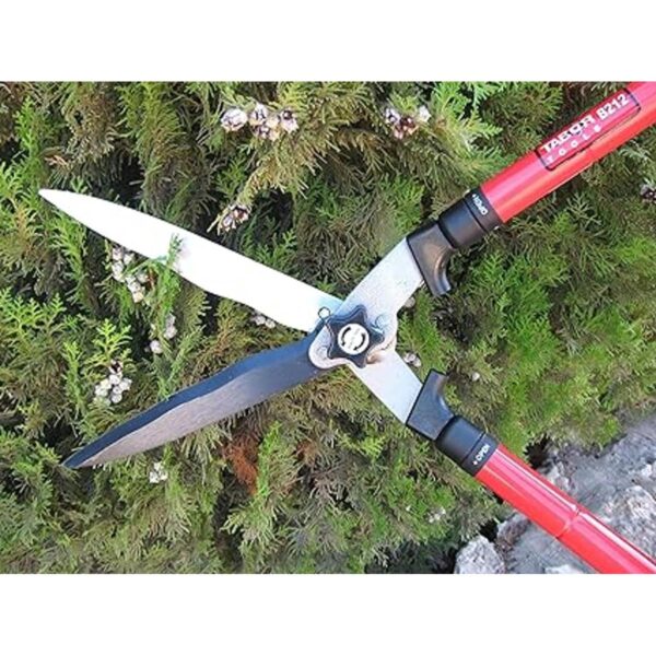 TABOR TOOLS B212A Tijeras telescópicas para setos con_6