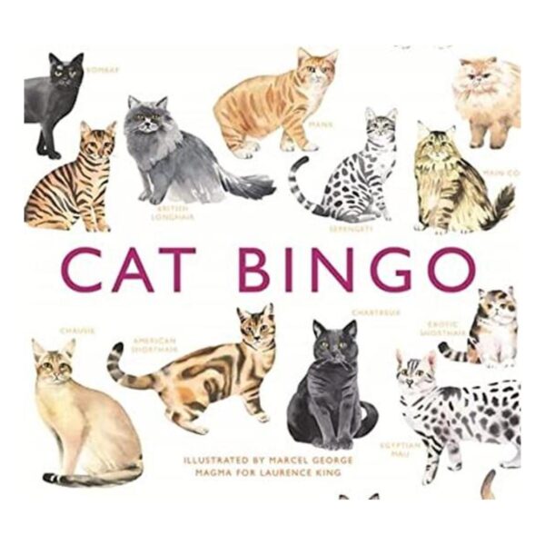 Cat Bingo Magma for Laurence King_1