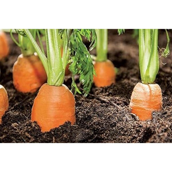 Rain Drip R567DT Kit de riego de verduras para jardín_4